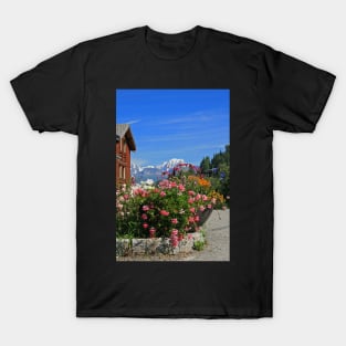 Alpine Summer Colours T-Shirt